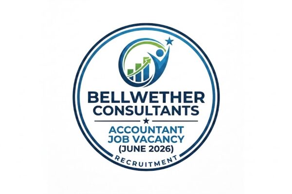 accountant job vacancy bellwether consultants