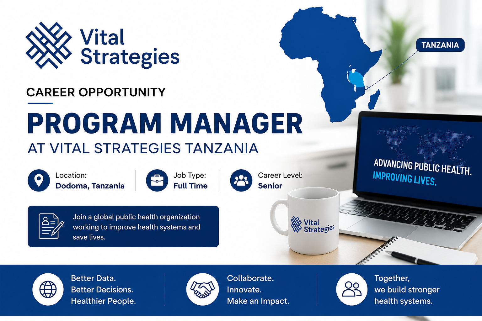 program manager at vital strategies tanzania job 2026