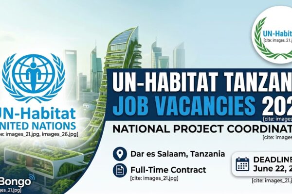 un habitat tanzania job vacancies project coordinator infobongo