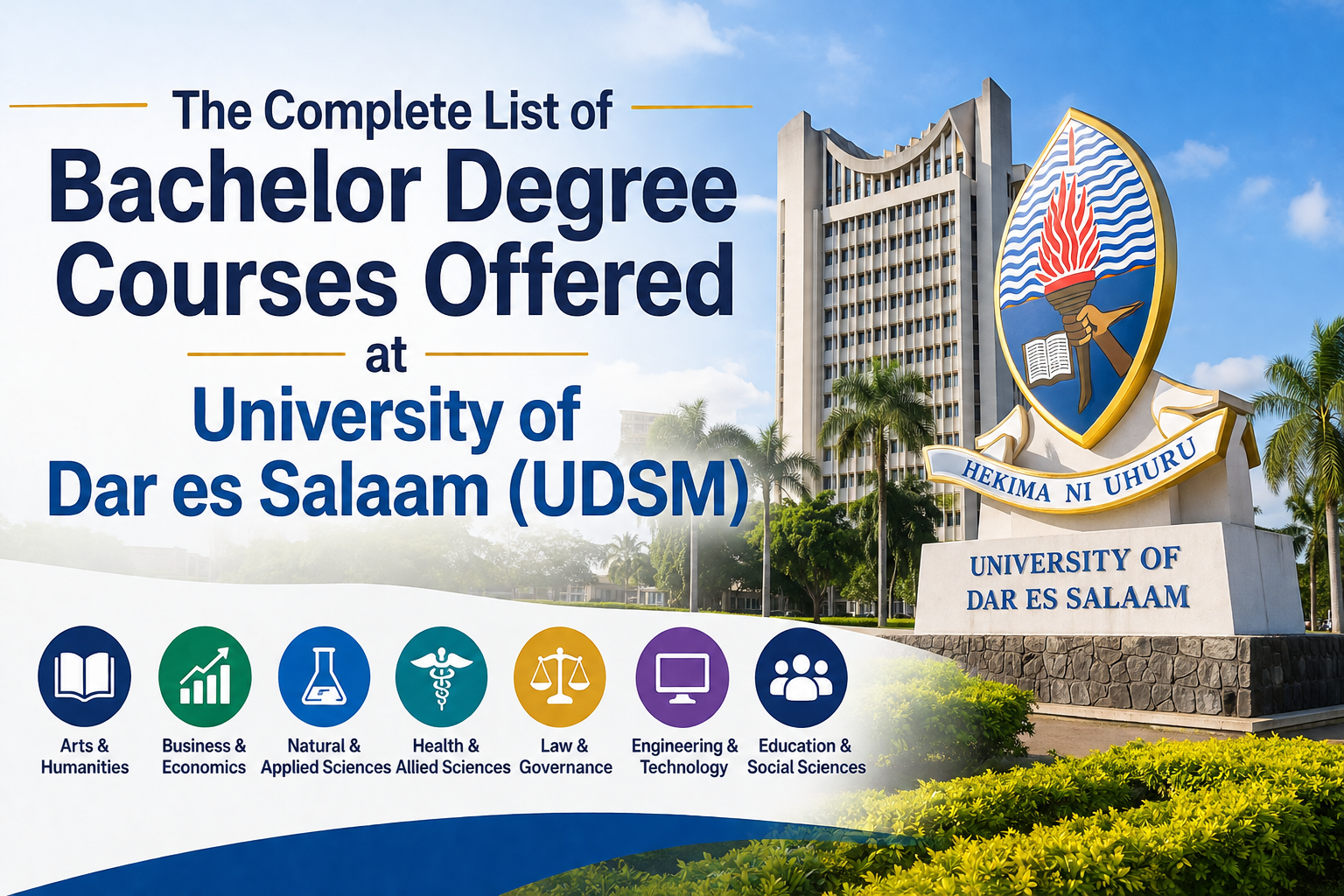 udsm bachelor degree courses featured image